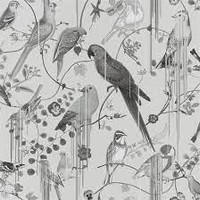 Birds Sinfonia Graphite