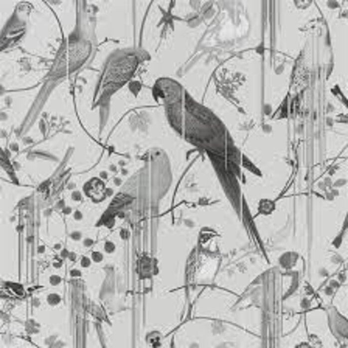 Christian Lacroix Birds Sinfonia Graphite