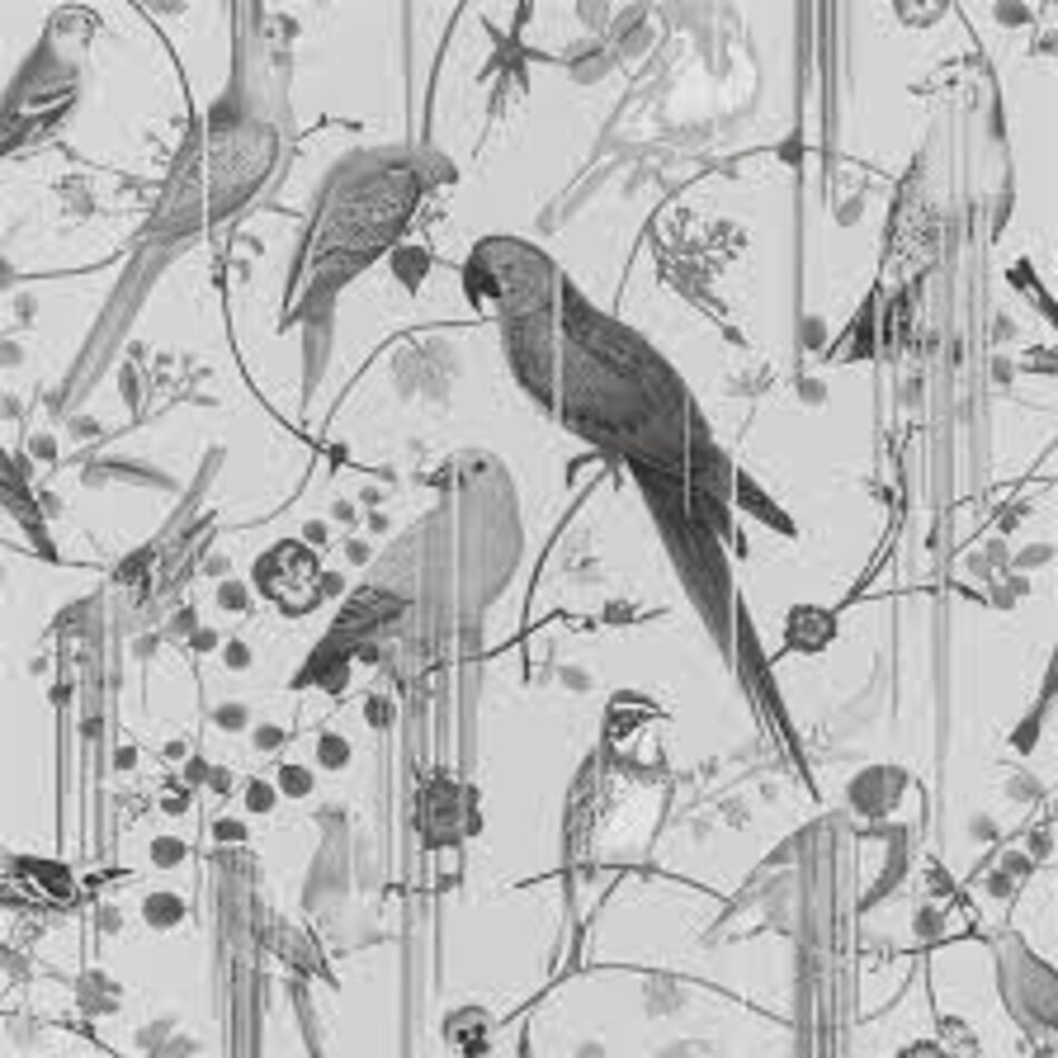 Christian Lacroix Birds Sinfonia Graphite Christian Lacroix Birds Sinfonia Graphite