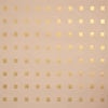 Chalet shell/gold