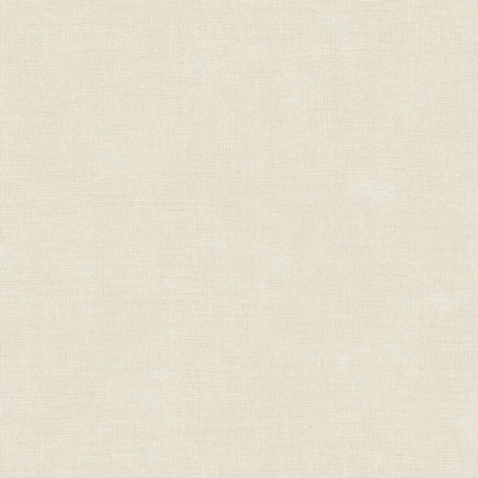 Arte Mushroom Arte Mushroom