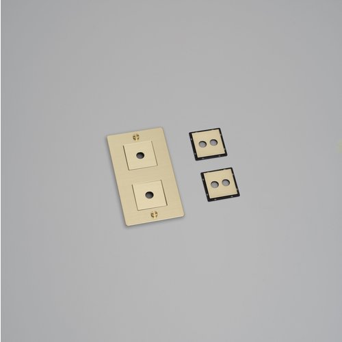 Buster and Punch 2G Wall Plate Infills