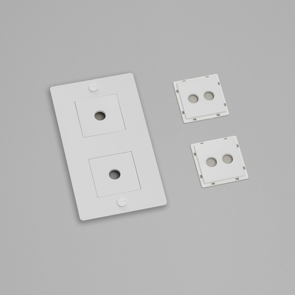 Buster and Punch 2G Wall Plate Infills
