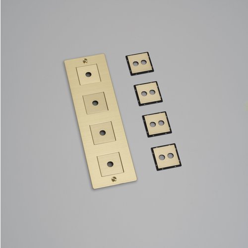 Buster and Punch 4G Wall Plate Infills Buster and Punch 4G Wall Plate Infills