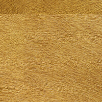 Vibrations Movida Métal