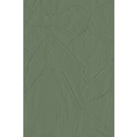 Shards Fern