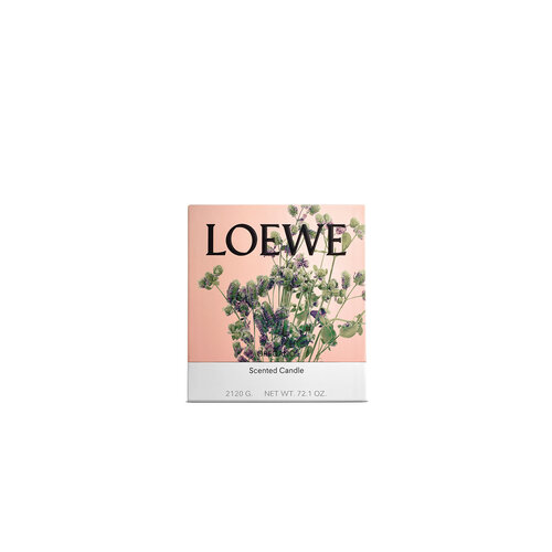 LOEWE Large Oregano Candle