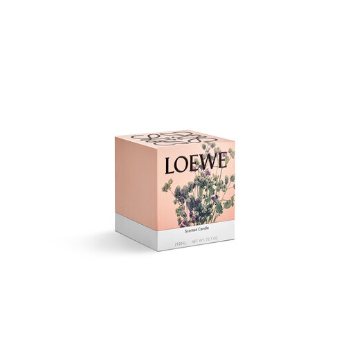 LOEWE Large Oregano Candle