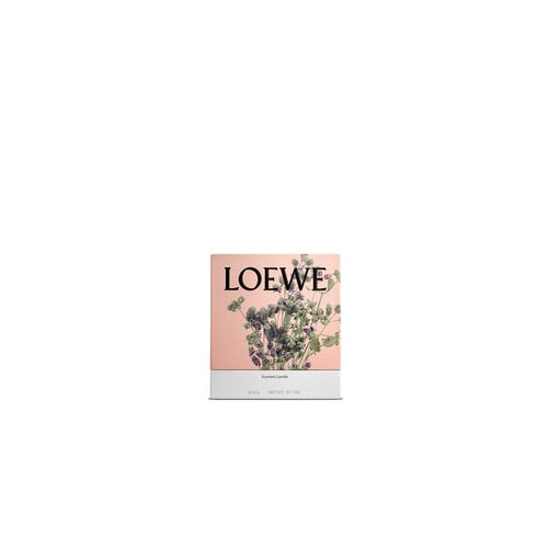 LOEWE Medium Oregano Candle