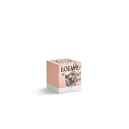 LOEWE Medium Oregano Candle