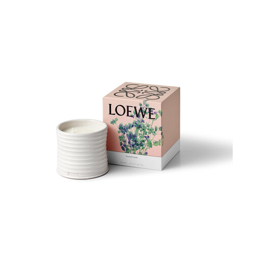 LOEWE Medium Oregano Kaars