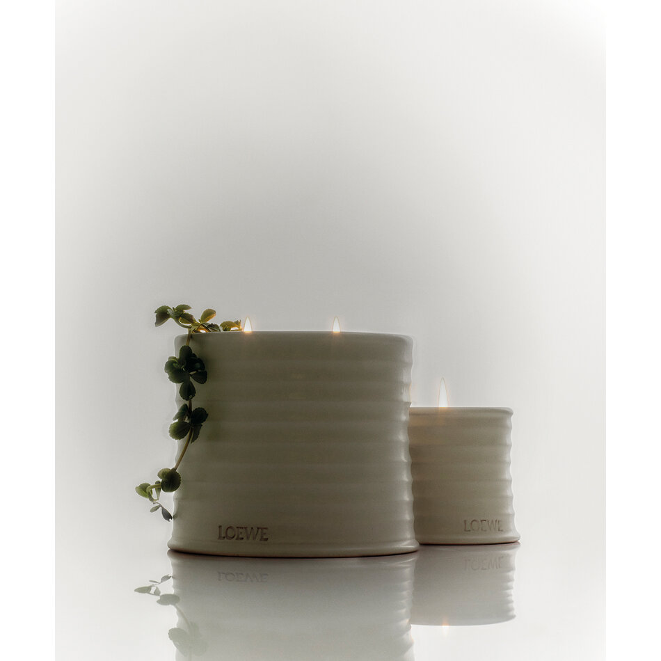 LOEWE Medium Oregano Candle