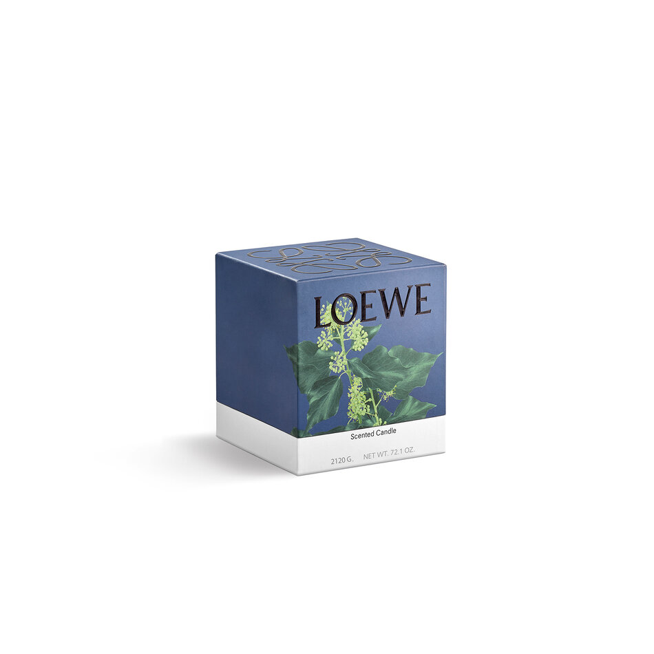 LOEWE Large Ivy Candle