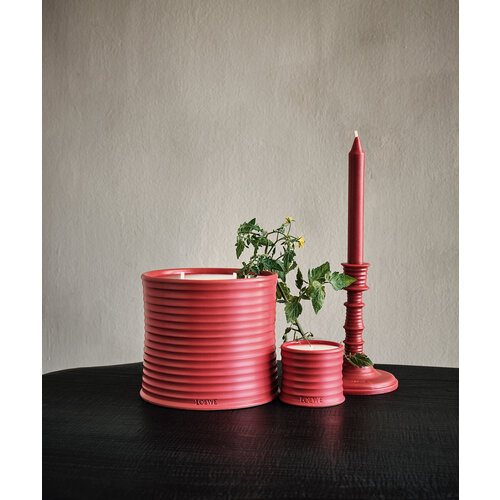 LOEWE Small Tomato Leaves Candle