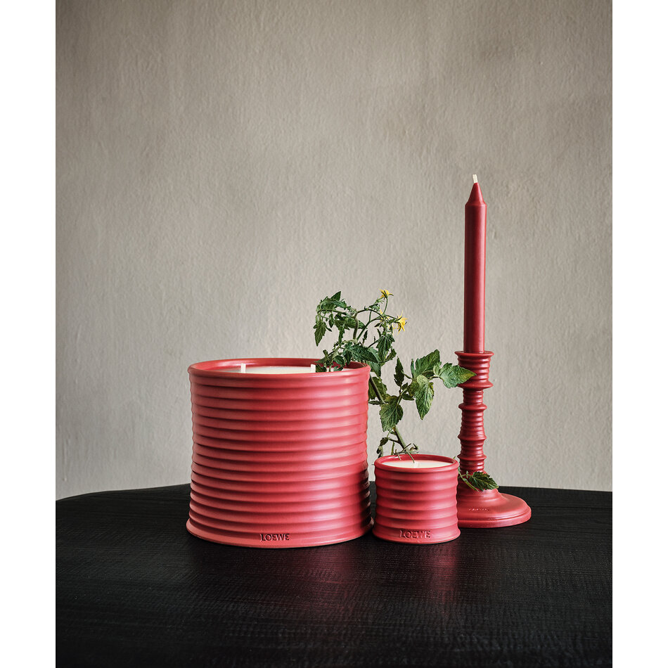 LOEWE Small Tomato Leaves Candle