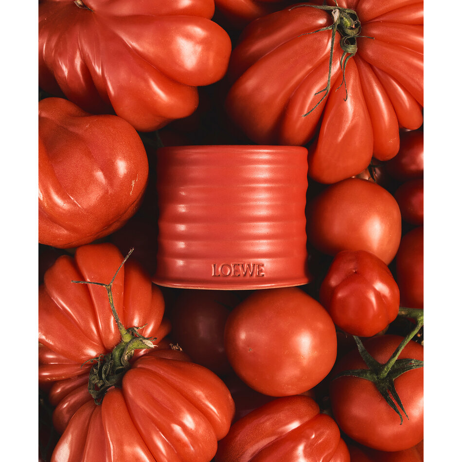LOEWE Small Tomato Leaves Candle