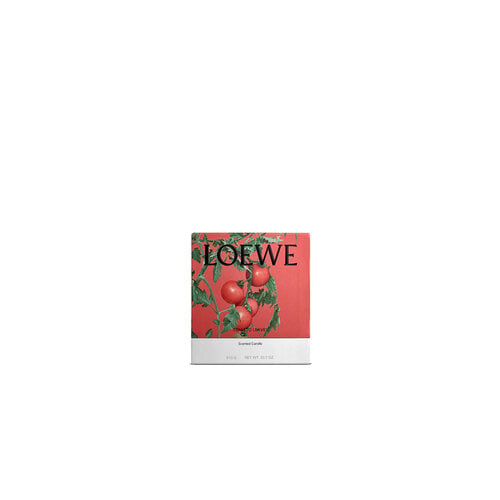 LOEWE Medium Tomato Leaves Candle