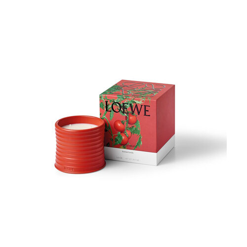 LOEWE Medium Tomato Leaves Candle