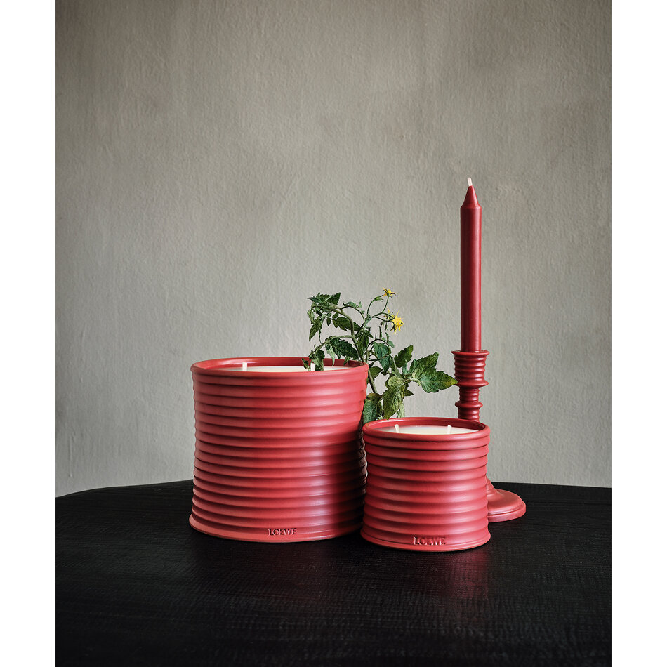 LOEWE Medium Tomato Leaves Candle