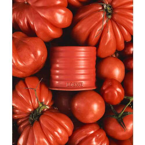 LOEWE Medium Tomato Leaves Candle LOEWE Medium Tomato Leaves Candle