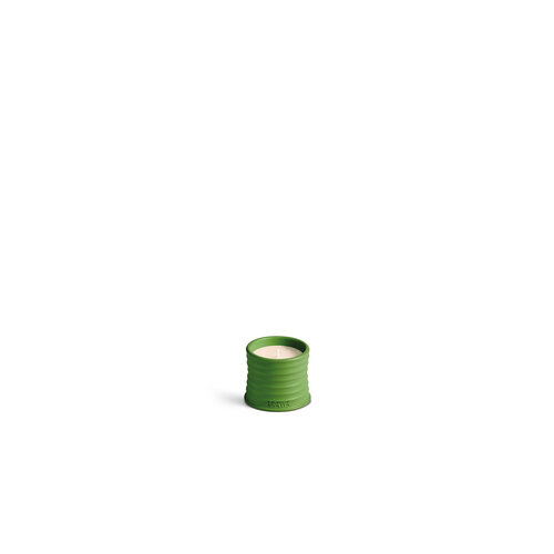 LOEWE Small Luscious Pea Candle