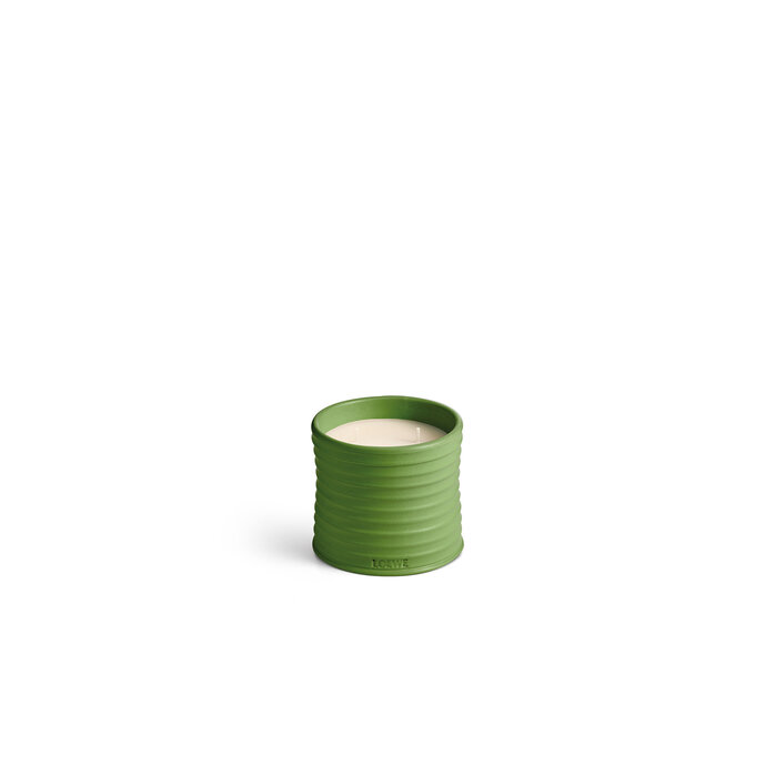 LOEWE Medium Luscious Pea Candle