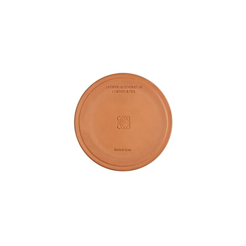 LOEWE Large Luscious Pea Geurkaars LOEWE Large Luscious Pea Geurkaars