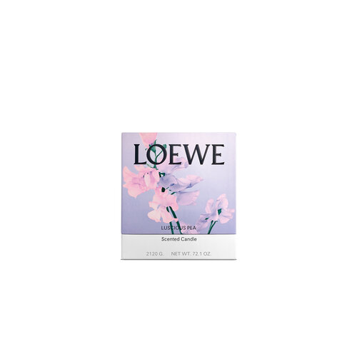 LOEWE Large Luscious Pea Candle