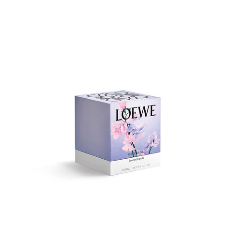 LOEWE Large Luscious Pea Candle