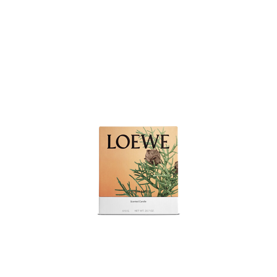 LOEWE Medium Cypress Balls Kaars