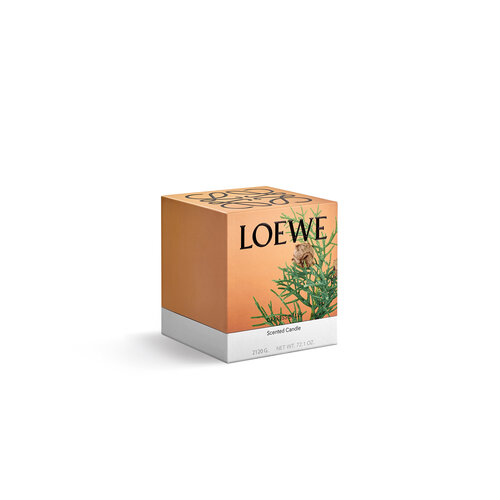 LOEWE Large Cypress Balls Candle