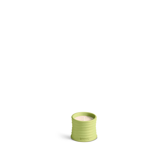 LOEWE Small Cucumber Candle