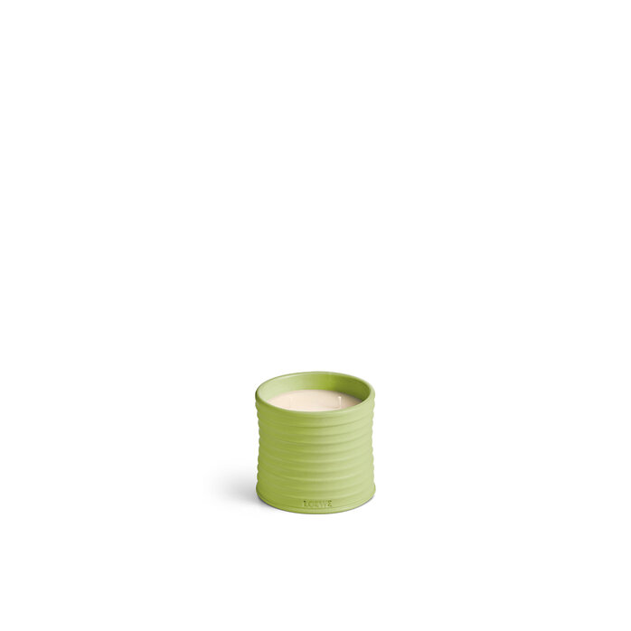 LOEWE Medium Cucumber Candle