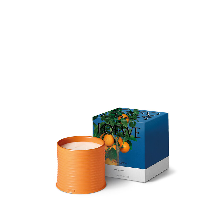 LOEWE Large Orange Blossom Candle