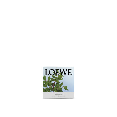 LOEWE Medium Incense Kaars