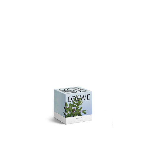 LOEWE Medium Incense Kaars