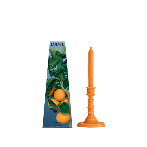 LOEWE Orange Blossom Wax Candleholder