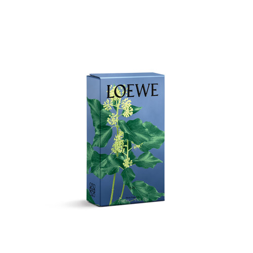 LOEWE Ivy Room Spray