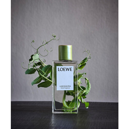 LOEWE Luscious Pea Room Spray