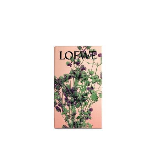 LOEWE Oregano Cream Spray