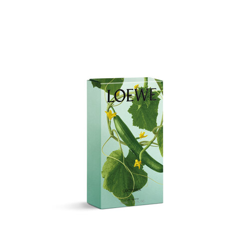 LOEWE Cucumber Room Spray