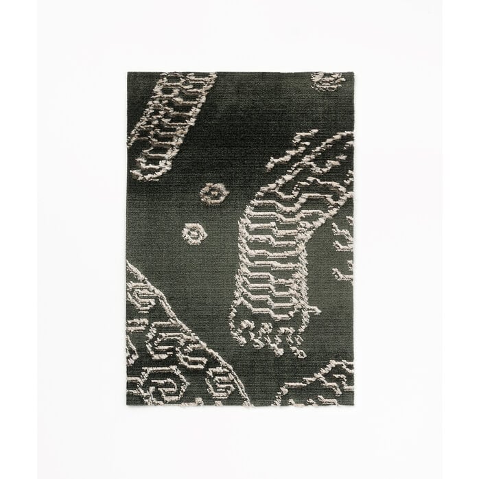 Dedar Tiger Mountain - Petrified Wood Dedar Tiger Mountain - Petrified Wood