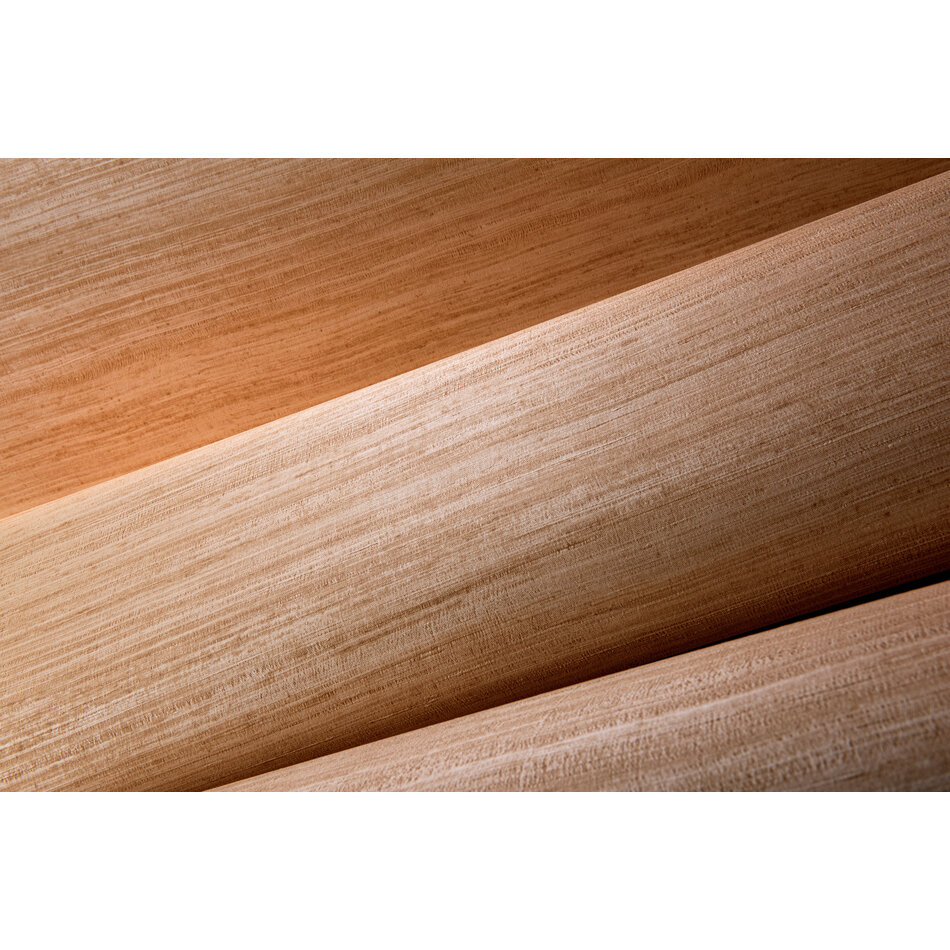 Arte Tasar Arte Tasar