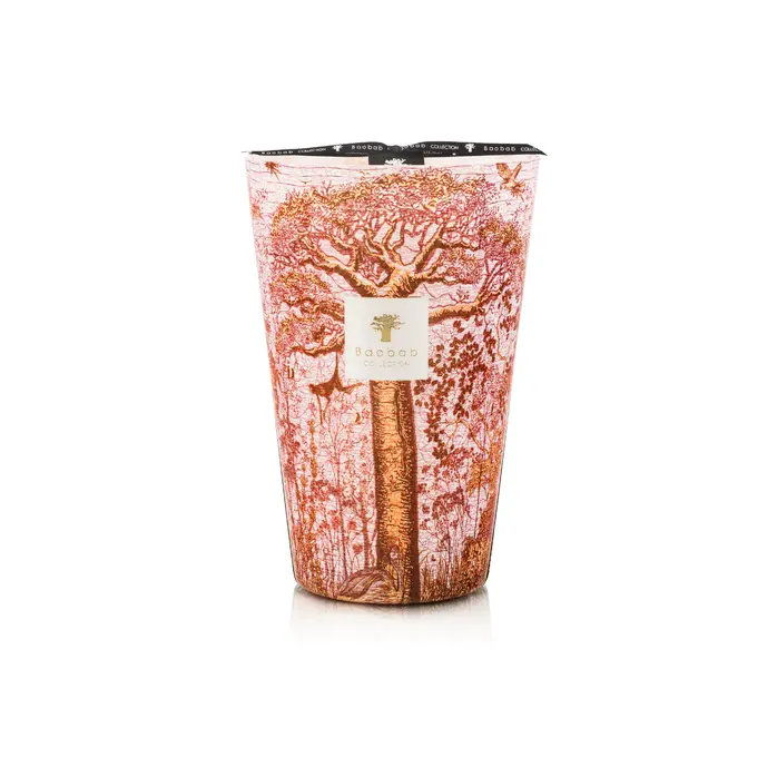 Baobab Candle Sacred Trees Woroba  Max 35