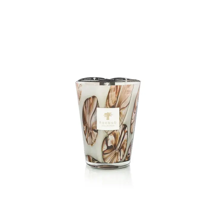 Baobab Candle Oceania Anangu Max 24