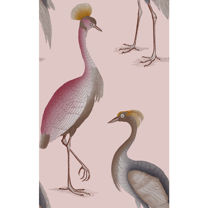 Gastón Y  Daniela Garzas 006