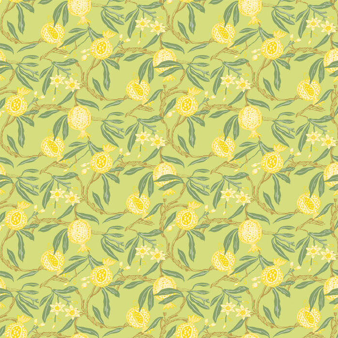 Gastón Y Daniela Granadas 004 Gastón Y Daniela Granadas 004