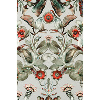 Mooi - Coccinella Bella – Cloud