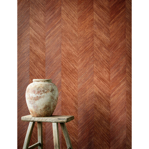 Arte Corteza Arte Corteza