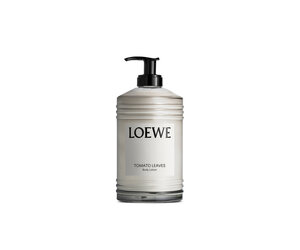 loewe-tomato-leaves-body-